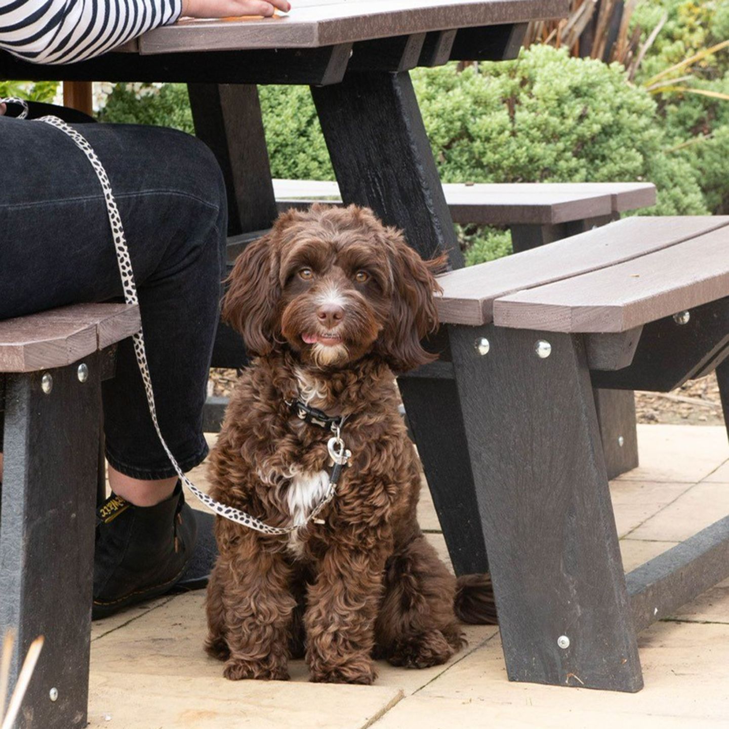 Your local dog friendly pub in Gloucester 